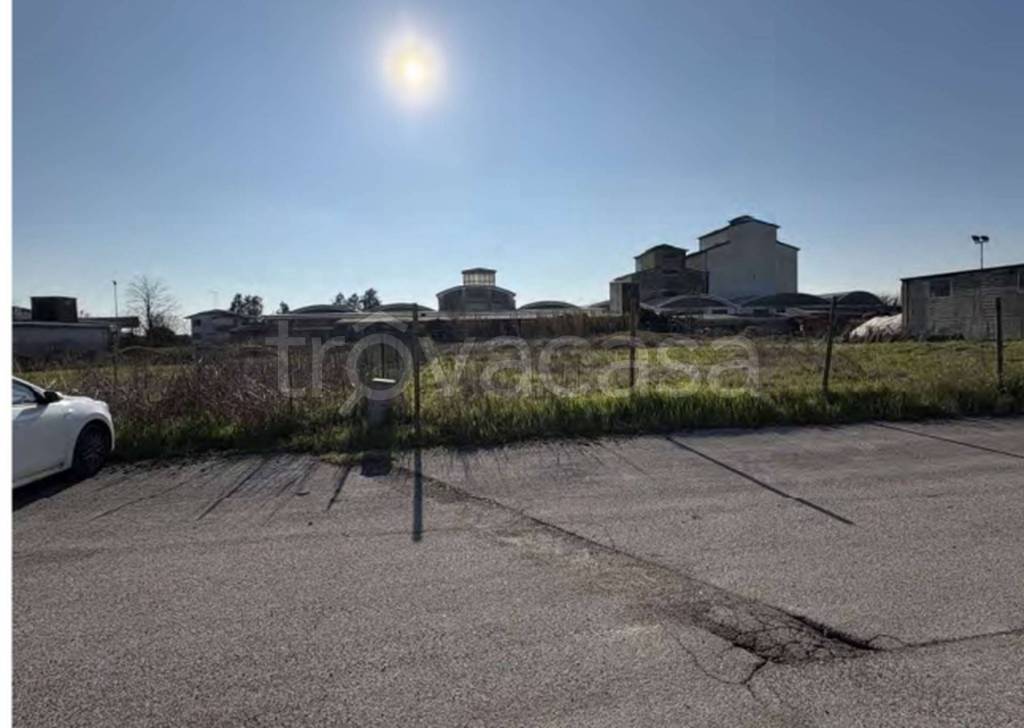 immagine annuncio 2 di 14