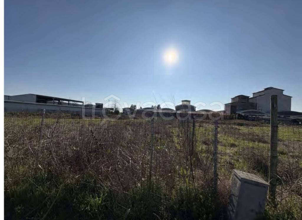 immagine annuncio 3 di 14