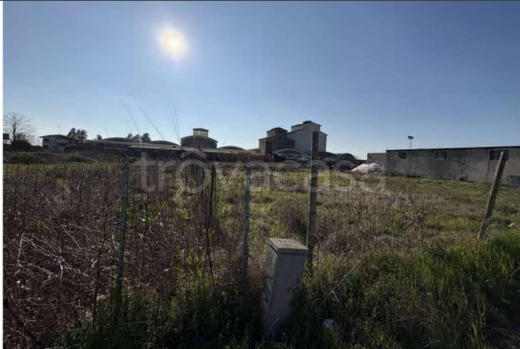 immagine annuncio 4 di 14