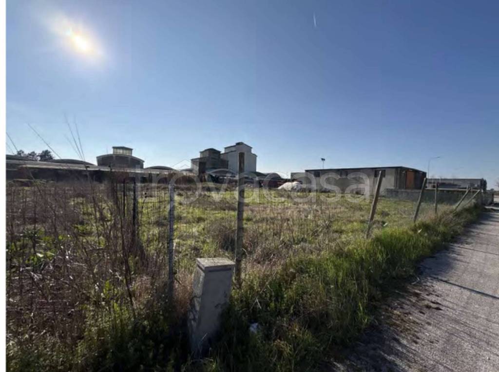 immagine annuncio 5 di 14