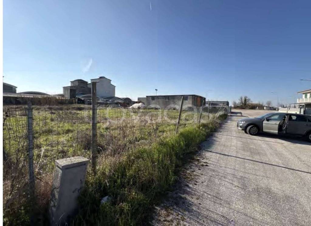 immagine annuncio 6 di 14