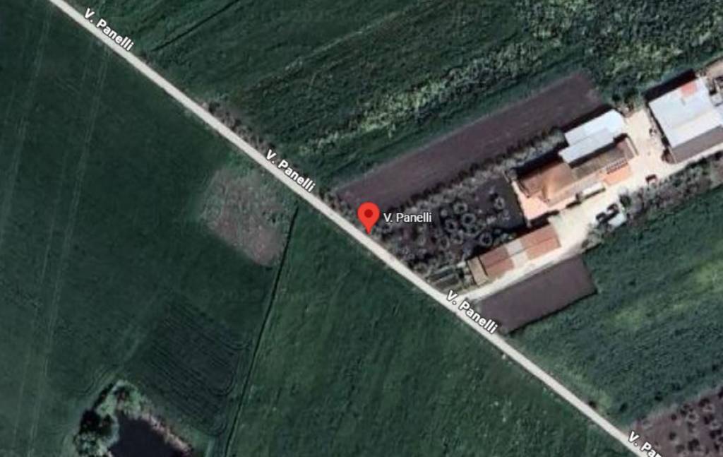 immagine annuncio 6 di 10