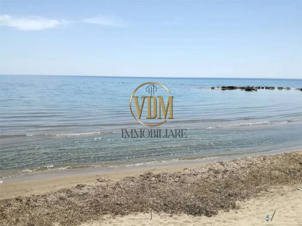 immagine annuncio 11 di 14