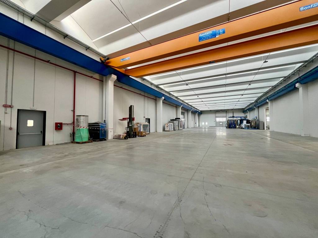 immagine annuncio 12 di 15