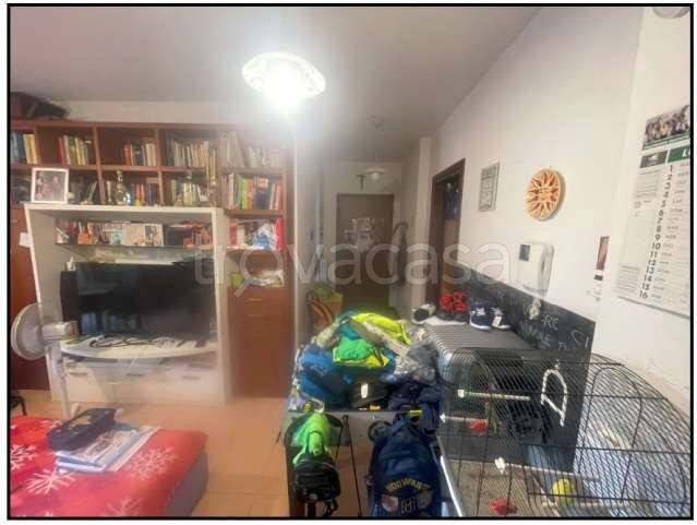 immagine annuncio 4 di 12