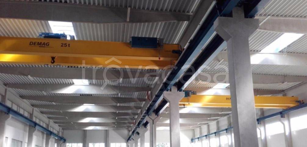 immagine annuncio 1 di 4