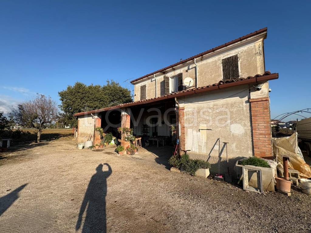 immagine annuncio 3 di 12