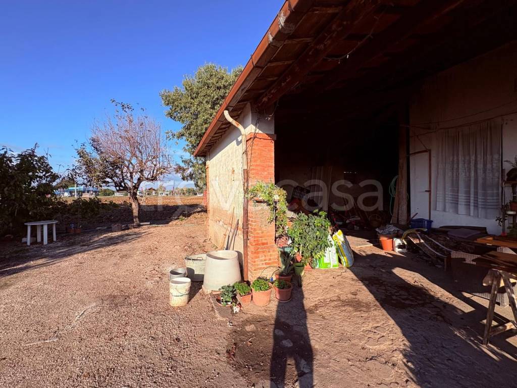 immagine annuncio 2 di 12