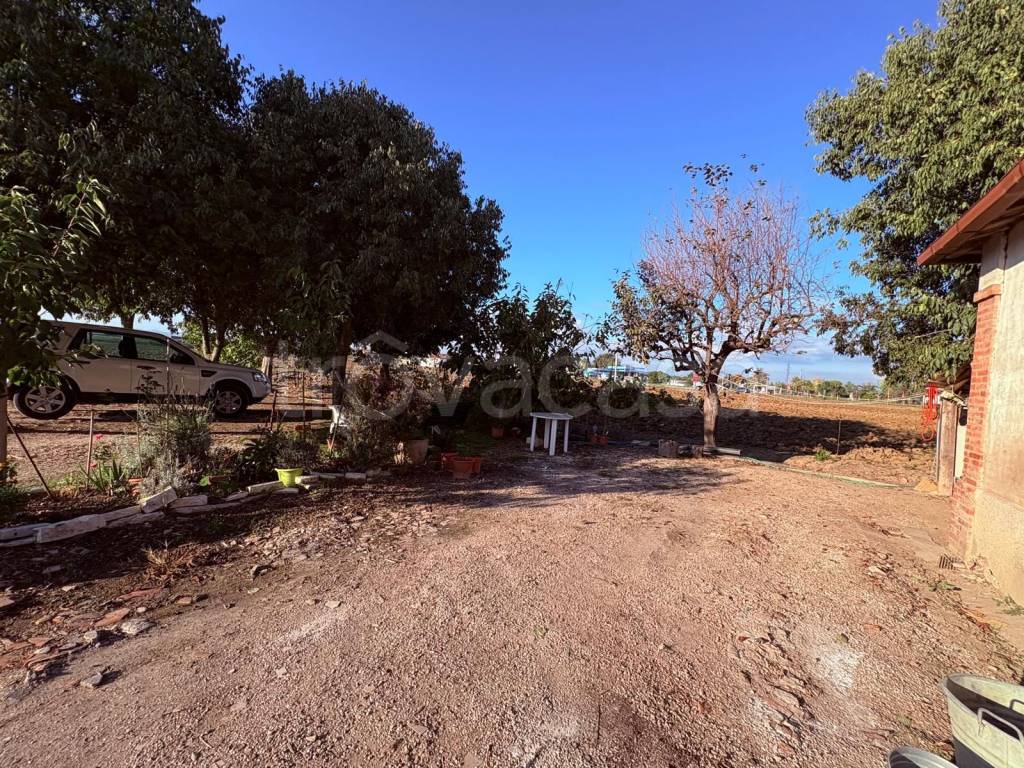 immagine annuncio 8 di 12