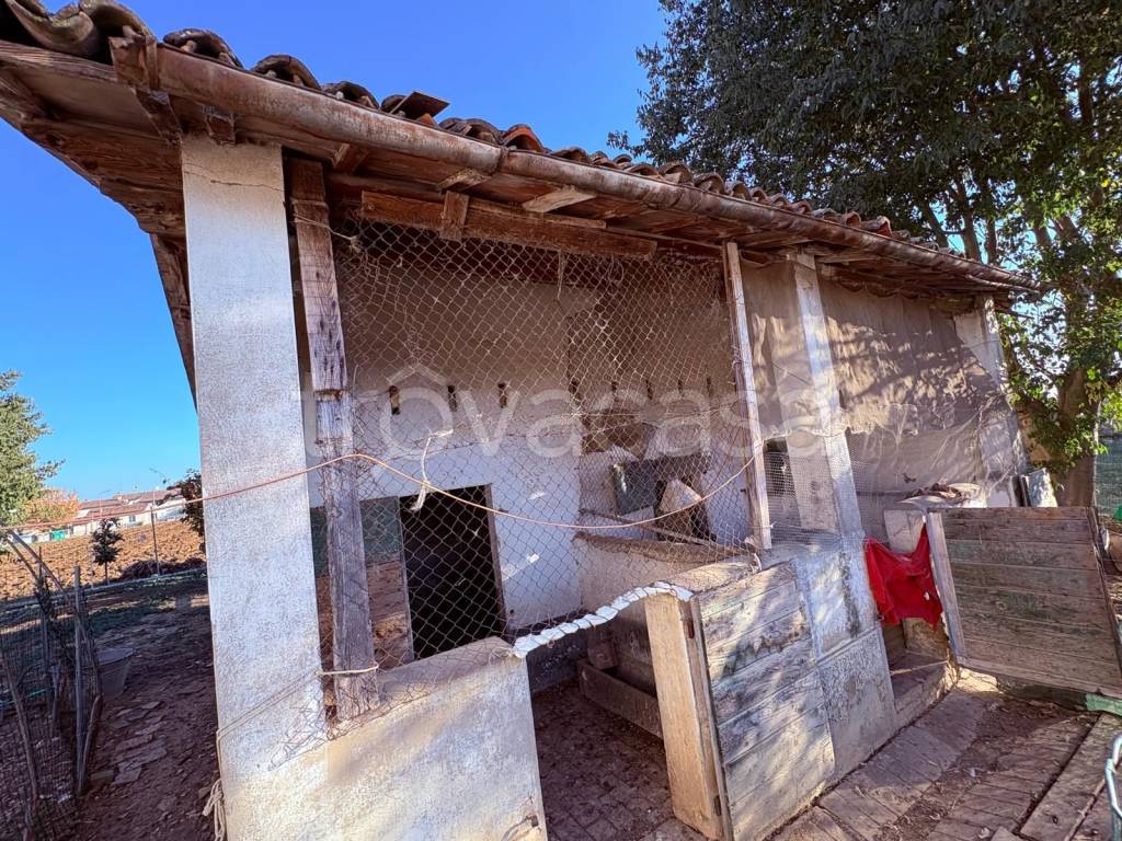 immagine annuncio 10 di 12