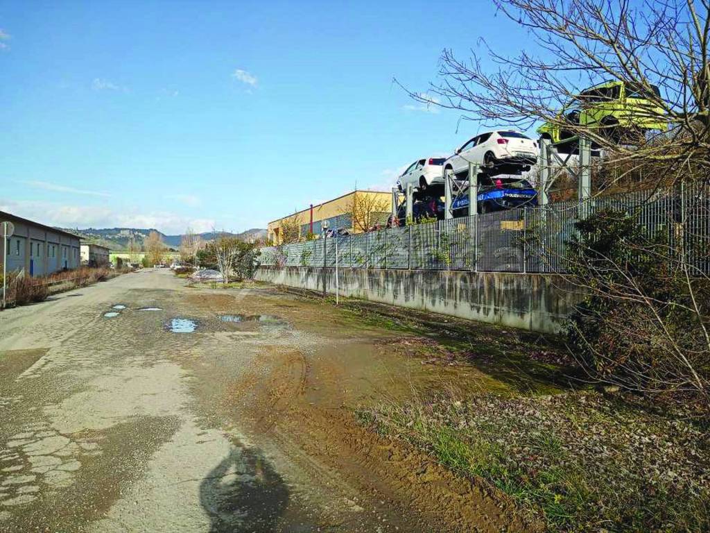 immagine annuncio 7 di 15