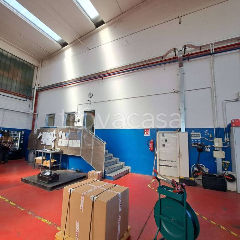 immagine annuncio 8 di 15