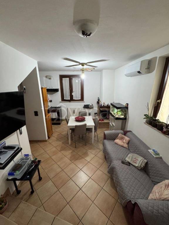 immagine annuncio 1 di 14