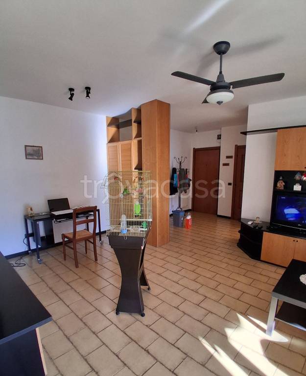 immagine annuncio 13 di 14