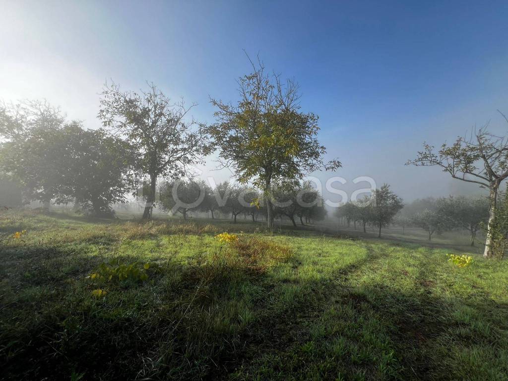 immagine annuncio 5 di 9