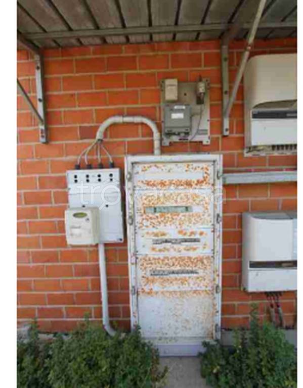 immagine annuncio 5 di 12