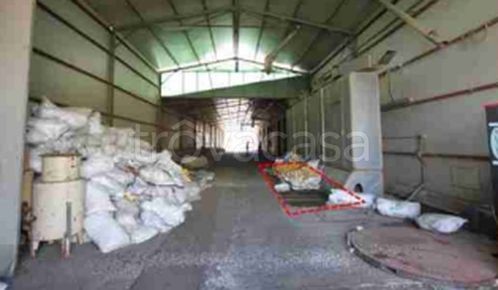 immagine annuncio 9 di 12