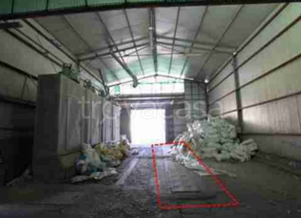 immagine annuncio 10 di 12