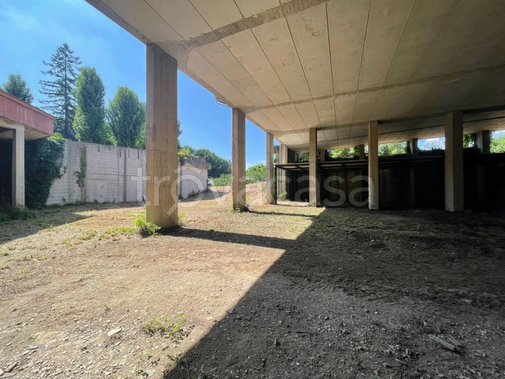 immagine annuncio 6 di 13