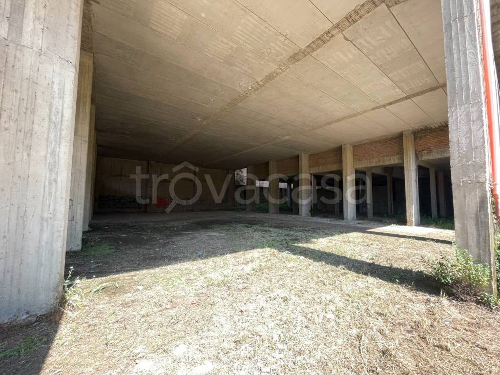 immagine annuncio 7 di 13