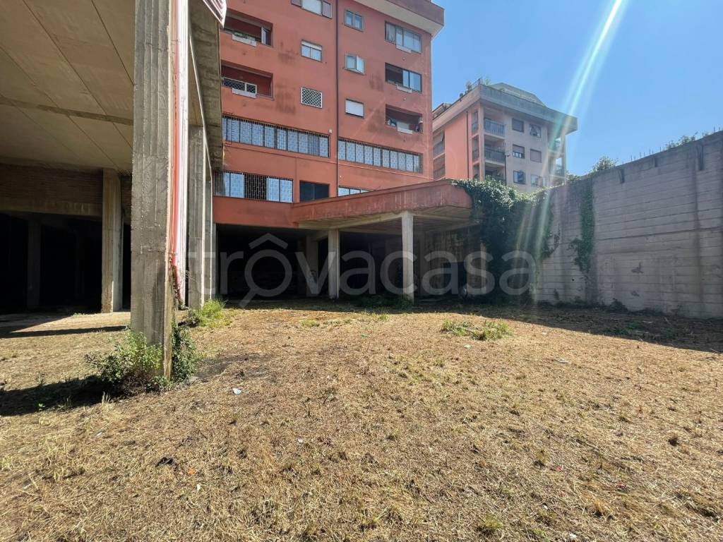 immagine annuncio 8 di 13