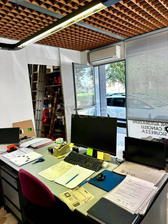 immagine annuncio 6 di 10