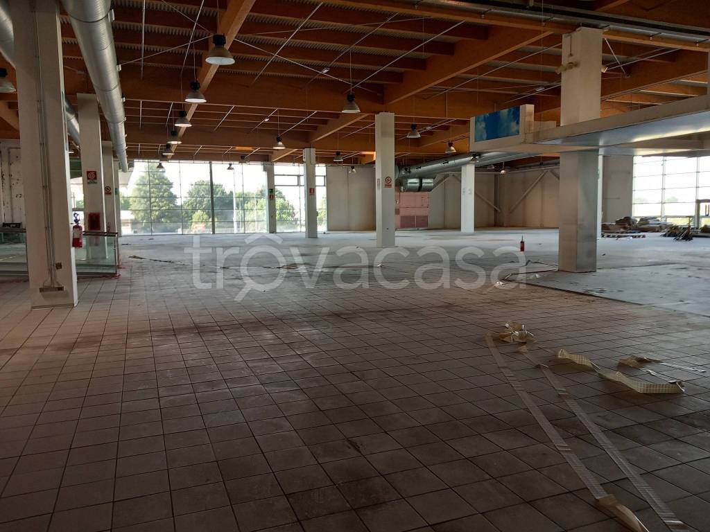 immagine annuncio 7 di 11