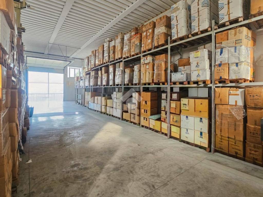 immagine annuncio 1 di 14