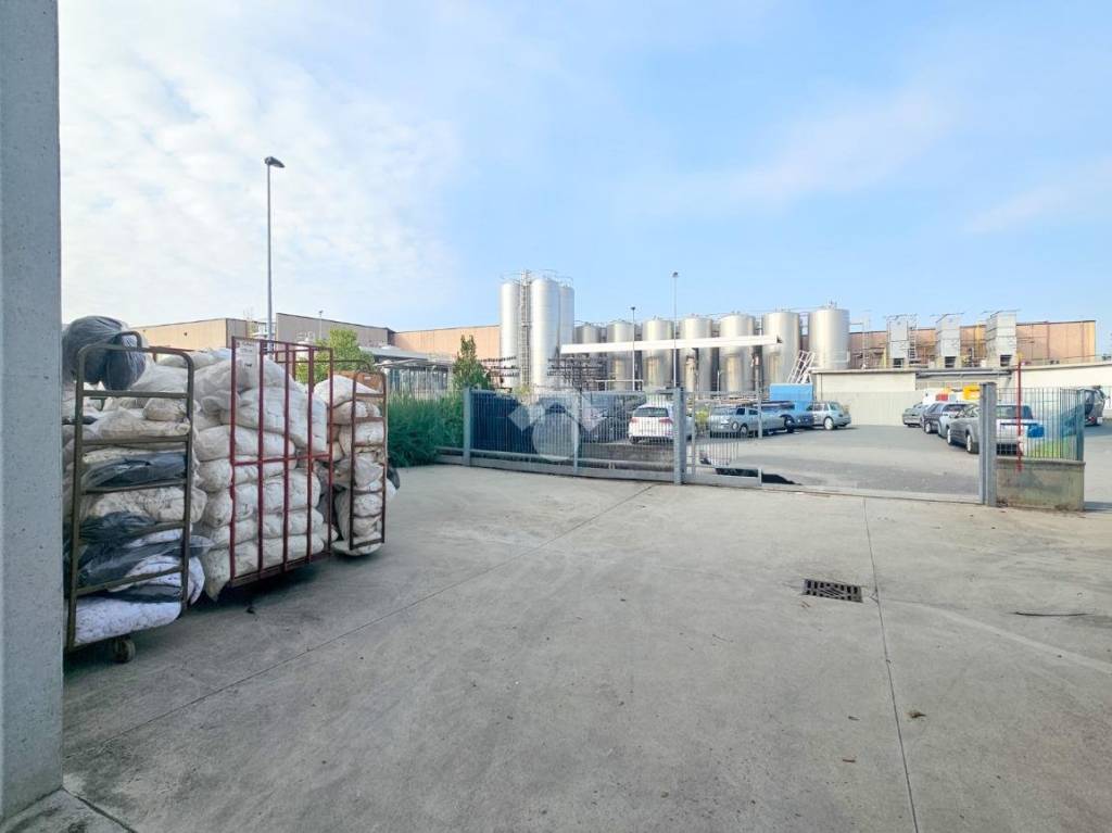 immagine annuncio 6 di 14