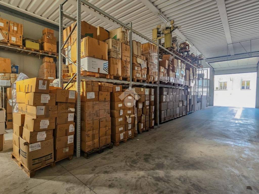 immagine annuncio 7 di 14