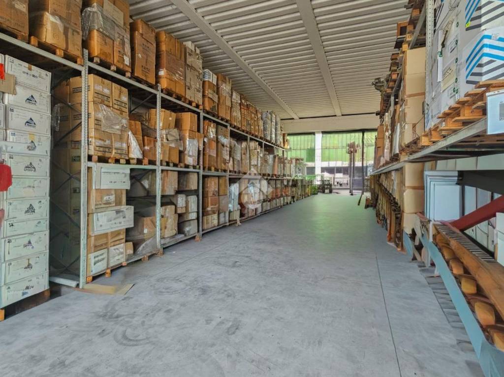 immagine annuncio 8 di 14