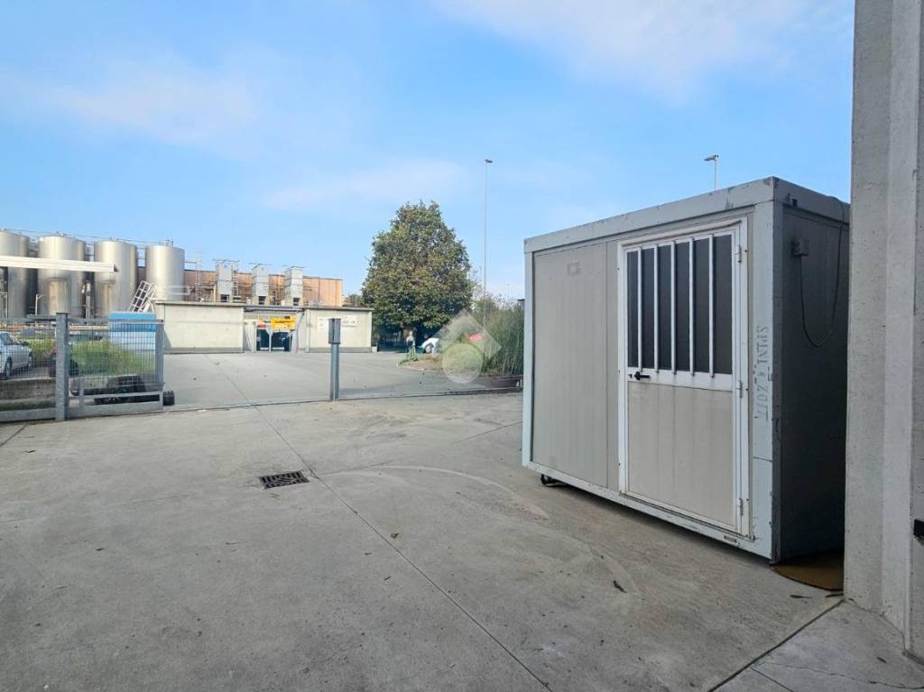 immagine annuncio 12 di 14