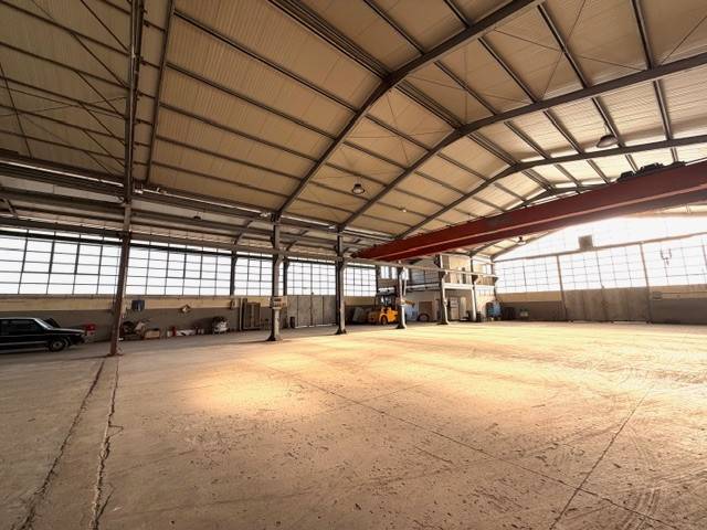 immagine annuncio 6 di 14