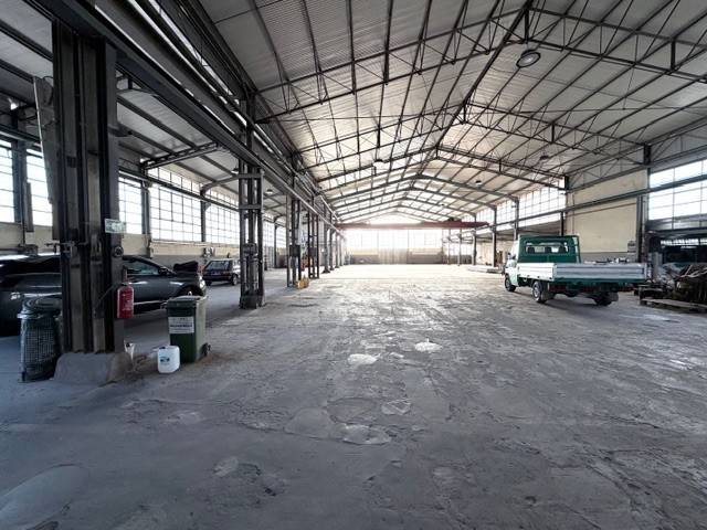 immagine annuncio 9 di 14