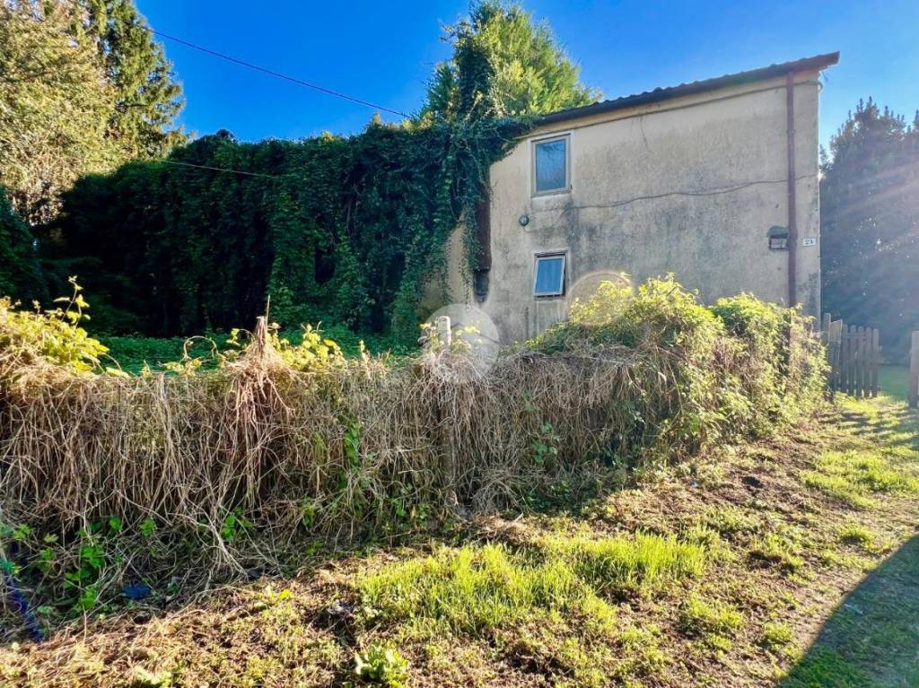 immagine annuncio 2 di 3