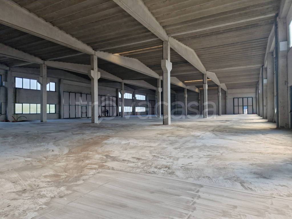 immagine annuncio 9 di 12