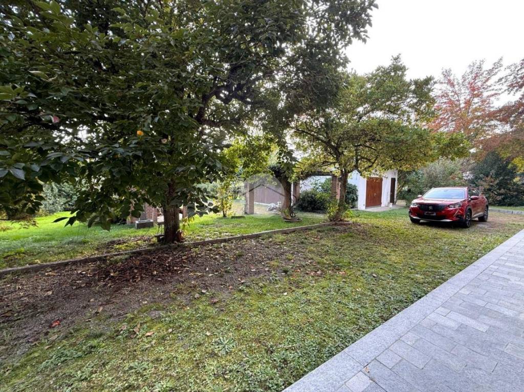 immagine annuncio 10 di 11