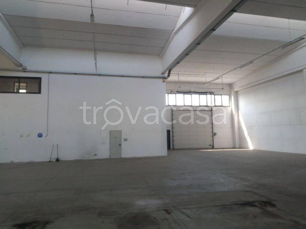 immagine annuncio 5 di 12