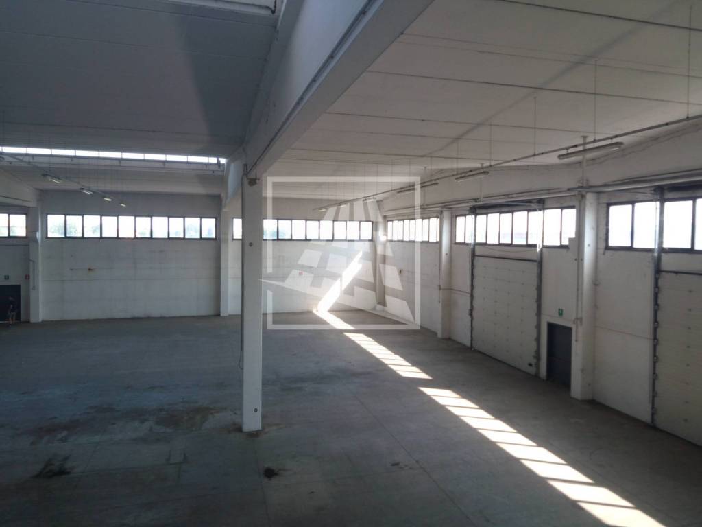 immagine annuncio 9 di 12