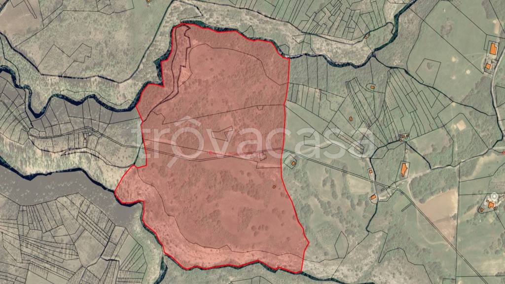 immagine annuncio 2 di 7