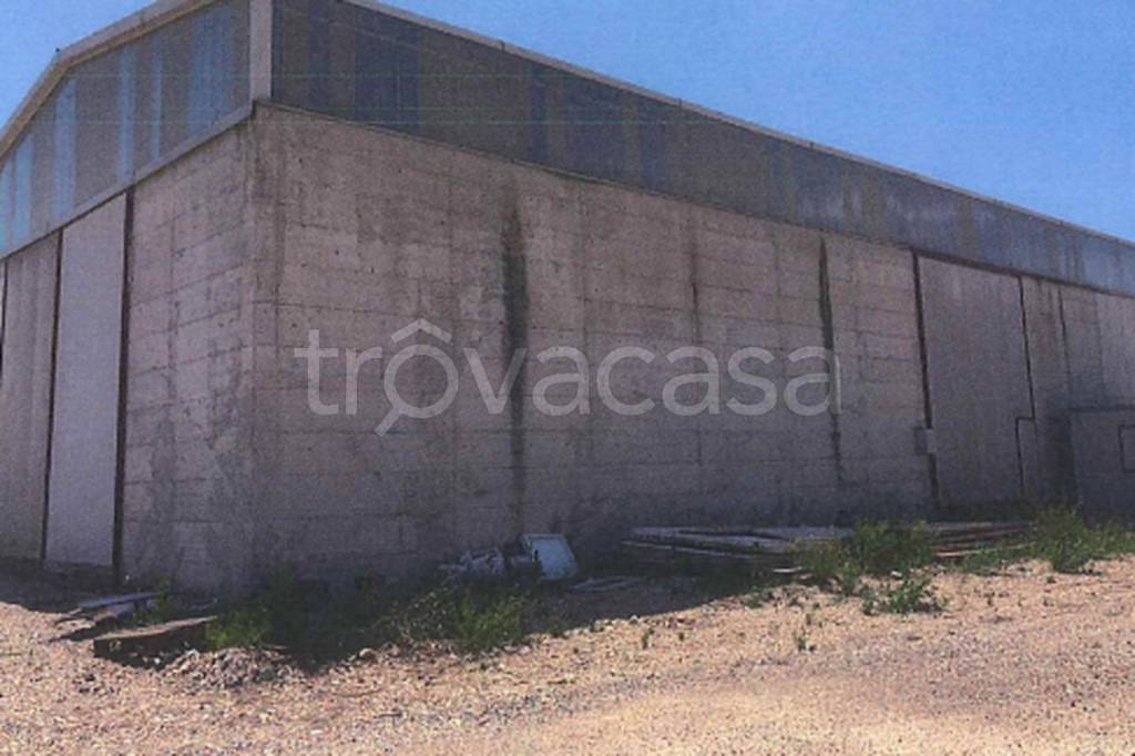 immagine annuncio 5 di 13