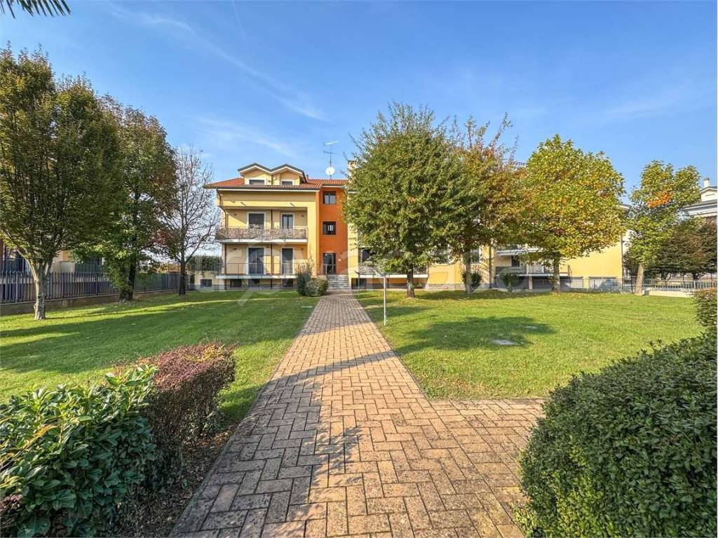 immagine annuncio 3 di 15