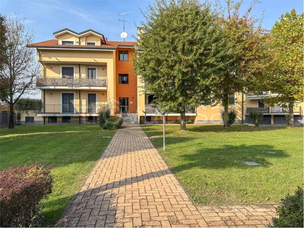 immagine annuncio 4 di 15