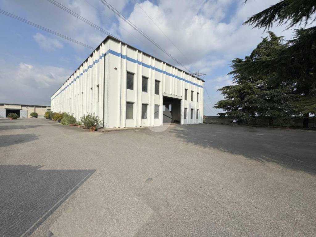 immagine annuncio 6 di 10