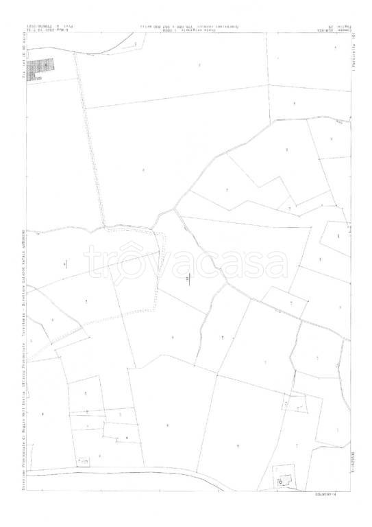 immagine annuncio 6 di 8