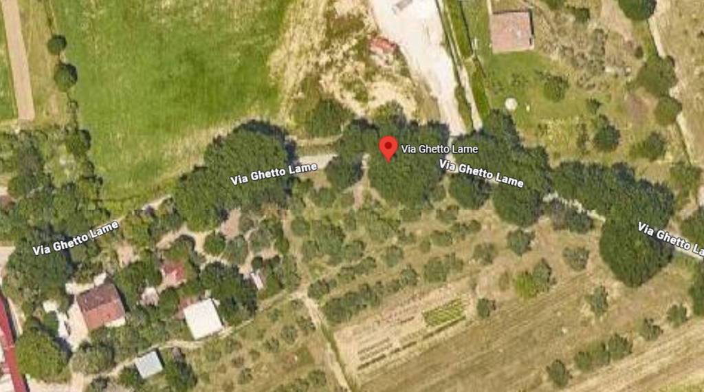 immagine annuncio 5 di 11