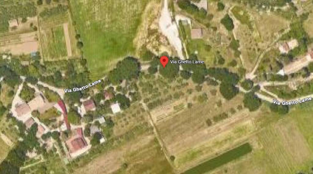 immagine annuncio 6 di 11