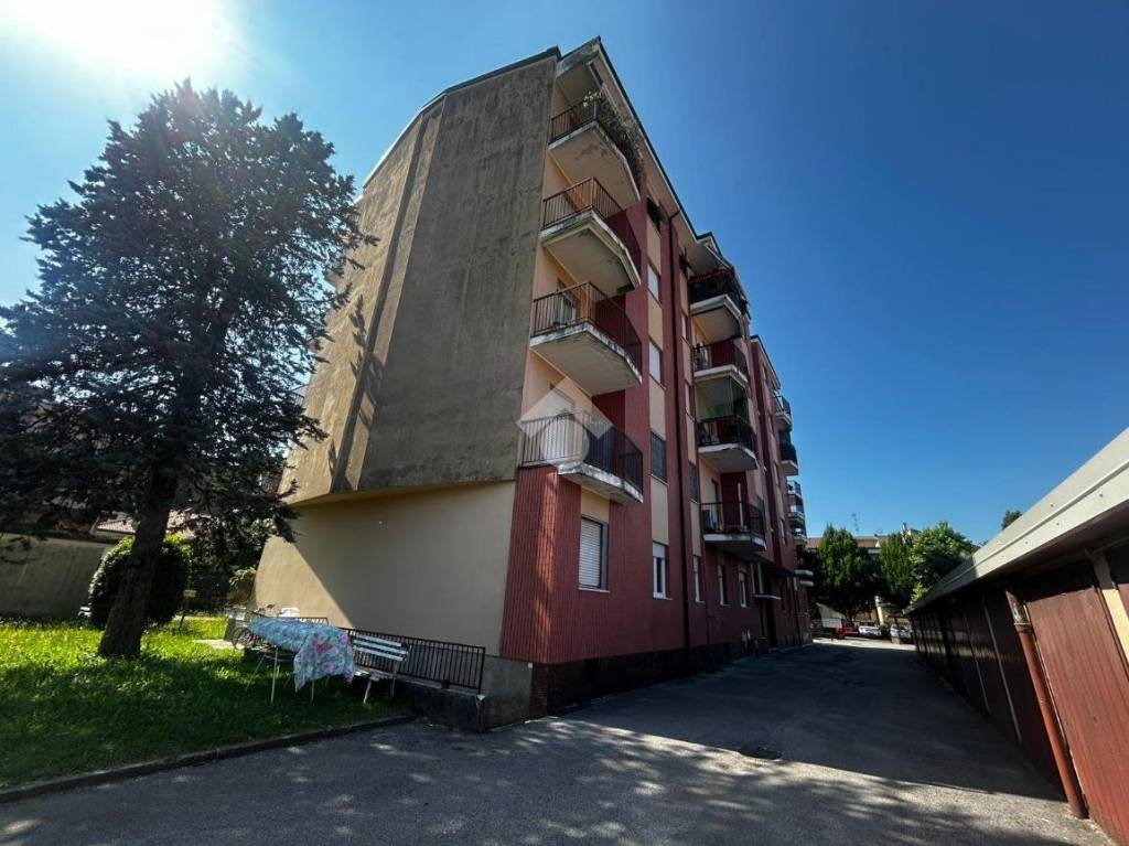 immagine annuncio 1 di 15