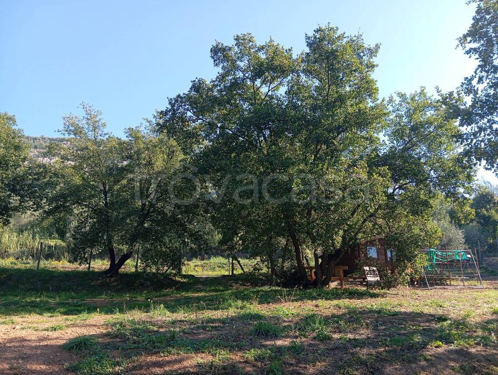 immagine annuncio 4 di 12