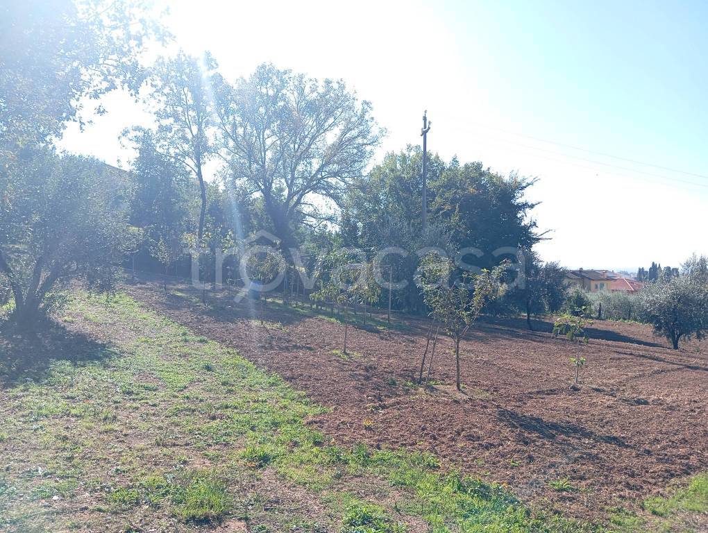 immagine annuncio 5 di 12